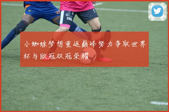 小蜘蛛梦想重返巅峰努力争取世界杯与欧冠双冠荣耀